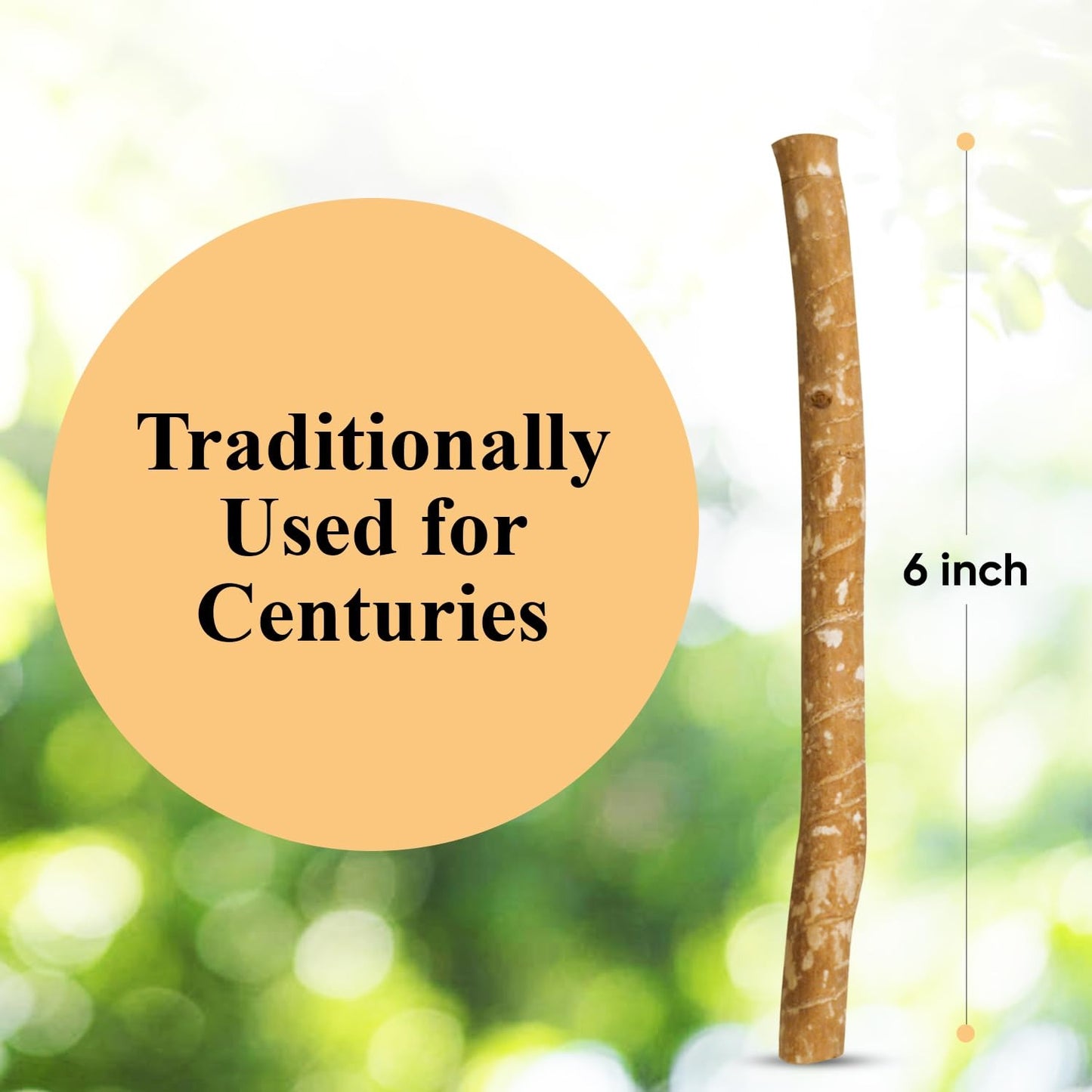 EcoMouthCare Miswak – Nature’s Ancient Toothbrush for a Radiant, Healthy Smile