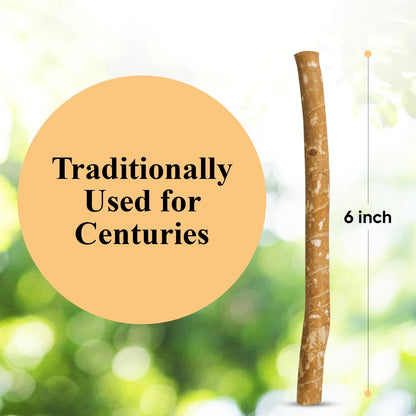 EcoMouthCare Miswak – Nature’s Ancient Toothbrush for a Radiant, Healthy Smile